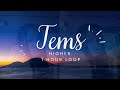 Tems Higher | 1 Hour Loop | Chill Songs