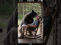Is This The Funniest Bear Encounter Ever Doorbellcamera Bear