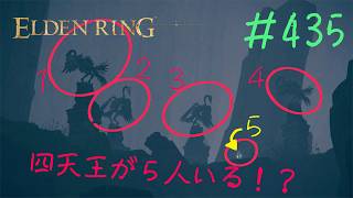♯435【今さら初見のELDEN RING】エラク川「下流」というからには「上流」がある、まさかの滝登りアスレチックに閉口ですね
