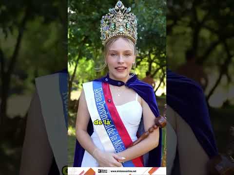 invitan a participar de la fiesta provincial de la Mojarrita en Azara Misiones. #argentina #misiones