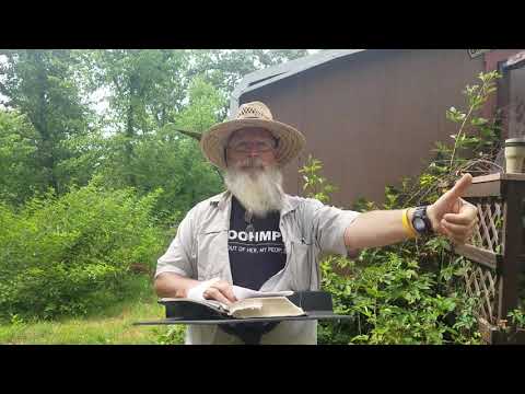 COOHMP! - Alas Babylon