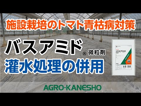 園芸 青い気管、青い気管
