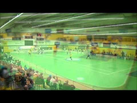 Maalikooste PSS - SalBa.wmv