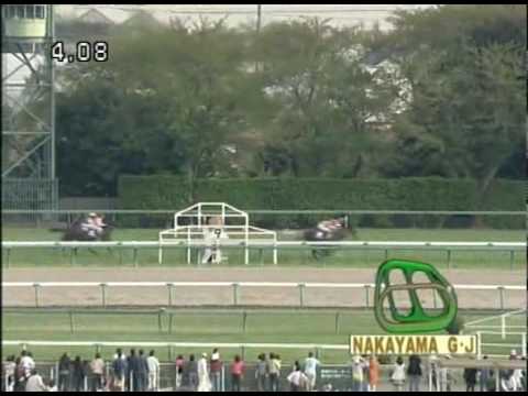 Nakayama Grand Jump 2009 Spring Ghent