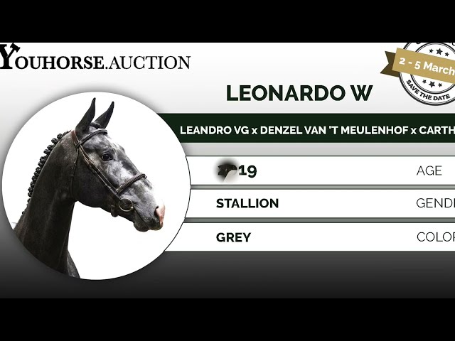 Leonardo W