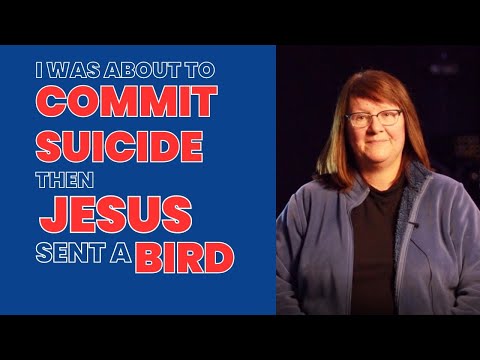 Witness21 Editor  2024 07 13