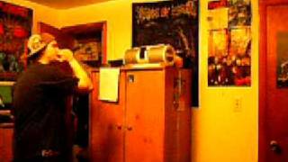 DevilDriver - Sin and Sacrifice Vocal Cover.