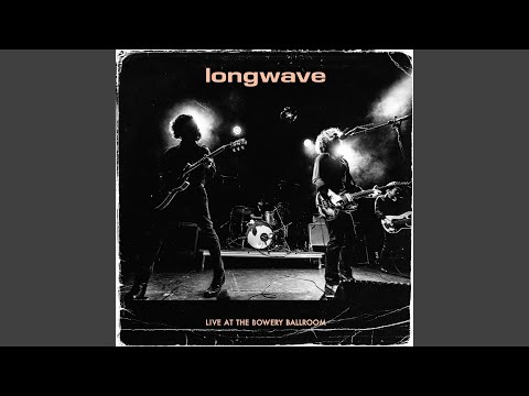 Before You Disappear