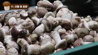 유튜브 썸네일