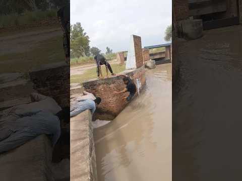 Yaar Dil da pata dildar Dil ka pata