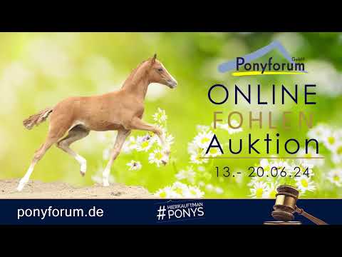 Bueno KJ HF v. Barclay / Strauss