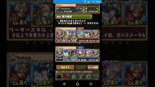 パズドラ チャレダン9 初見プレイ  実況