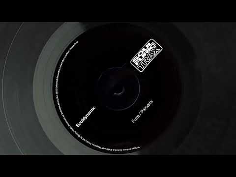 Souldynamic - Paroaria (Soulfuric Trax)