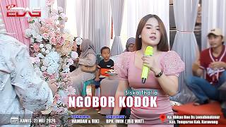 Download lagu Ngobor Kodok || Siska Thalia || New Edas Permana - Karawang || Babakan Hoe, Mei 2026 mp3 Download lagu Ngobor Kodok || Siska Thalia || New Edas Permana - Karawang || Babakan Hoe, Mei 2026 mp3