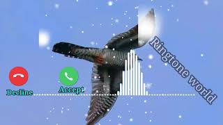 koyal sound ringtone free download koyal sound ringtone free download