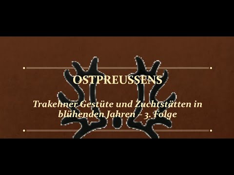 13. Trakehner Kamingespräch