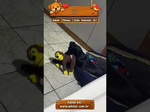Vídeo de kira