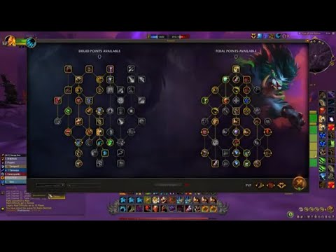 Dragonflight Feral Druid PVP Eye of the Storm