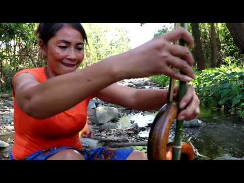 Survival skills: Catching a big eel in water for food - Cooking big eel eating delicious #43 Video