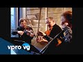Brodsky Quartet - Beethoven/ from: String Quartet opus 18 (live)
