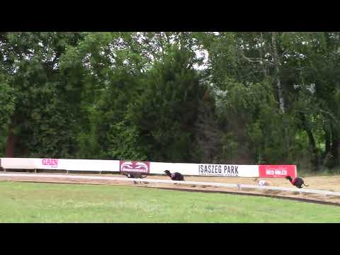 Race 7 Czech Derby Trial Stakes - OR 485m