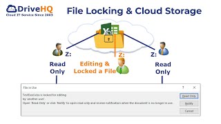 File Locking prevents file overwriting by a team member. Do cloud storage services support it?