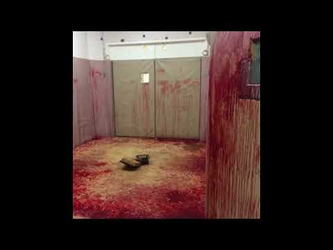 gl0wrm x xoxoswitch - killed the plug (prod. gl0wrm) [SPED UP/NIGHTCORE EDIT]