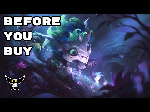 Before You Buy Elderwood Gnar