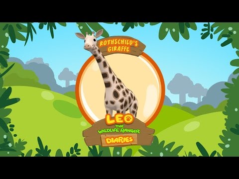 Witness21  2018 08 23