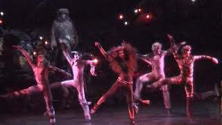 Jellicle Ball (Cats, Russia)