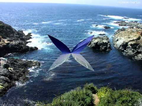 Dj Sanny J feat. Los Tiburones- Shake Boom