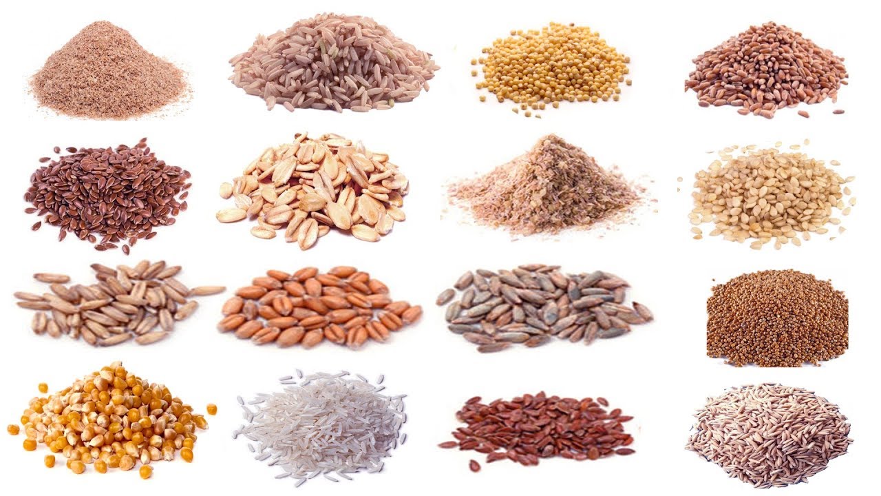 Grain / Cereal Crops Names Meaning & Images | দানাদার শস্য | Cereals Vocabulary | Necessary