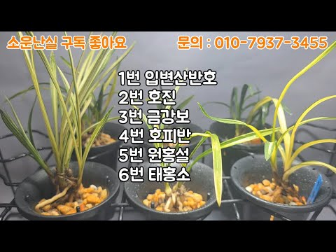 유튜브 썸네일
