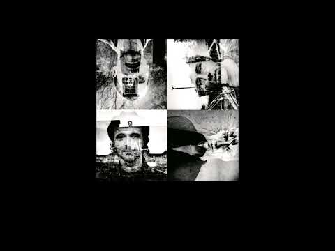 Travis - The Beautiful Occupation (subtitulos en español)