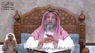 798 - الصيد داخل حدود الحرم - عثمان الخميس