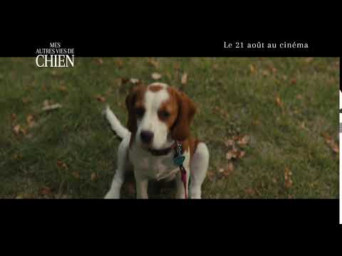 Mes autres vies de chien | Cutdown 6 | FR | 21 août au cinéma