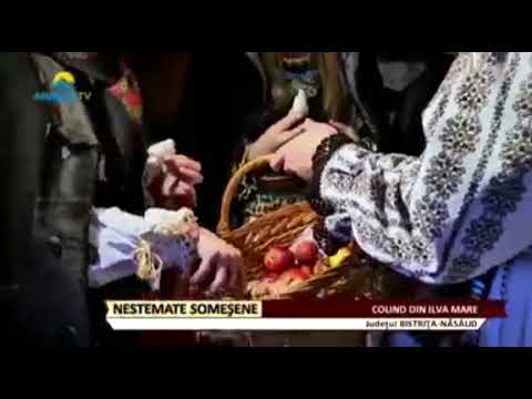 Mihaela Todica Gherasim - Colind