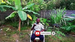 Celebrating 220 Subscribers in the Comoros: The World's Most Isolated Archipelago