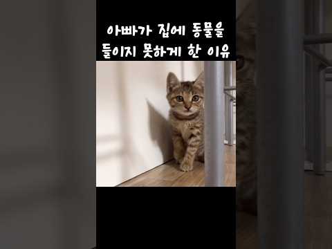 “집에 함부로 동물 들이는거 아이다” 단호한 아부지