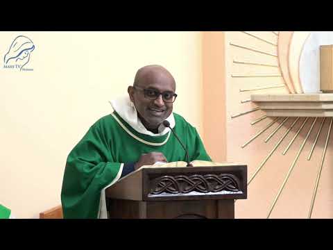 Fr. Leon Pereira | English Homily from Medjugorje | February 15, 2026 | MaryTV