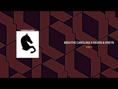 Breathe Carolina X Raven & Kreyn - Vibes
