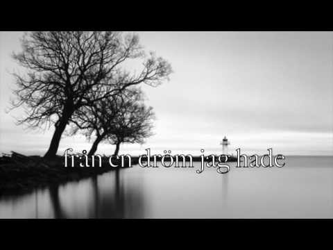 Video thumbnail for Bara dårar rusar in