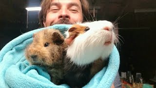 Lucky&#39;s New Friend!