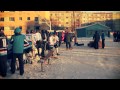 Хоккей Сафоново 1.Финал 