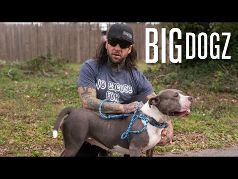 The MMA Fighter Saving New York's Pitbulls | BIG DOGZ