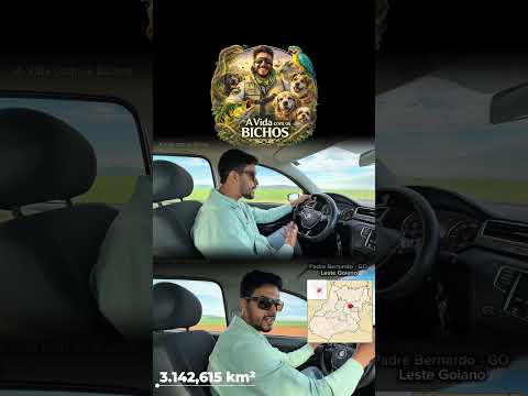 Tem mais no canal!Fui até Padre Bernardo, município do leste goiano, encontrar meu amigo Dr. Rhomulo