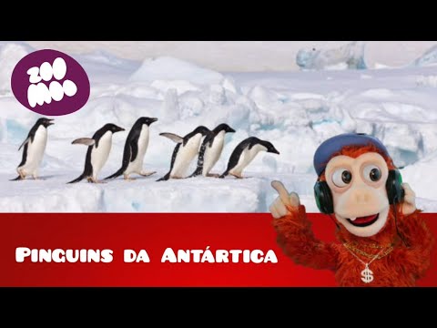 DJ Baby (Pinguins da Antártica)