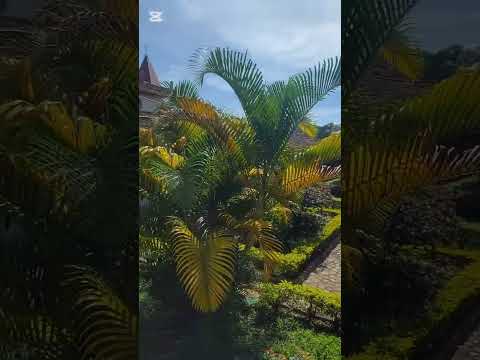 INSTALACIONES CASONA DE HOSPEDAJE LIDERATO