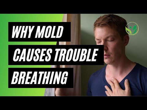 Why Mold Can Cause Bad Lung Health or Chronic Breathing Problems Like Bronchitis or Pneumonia
