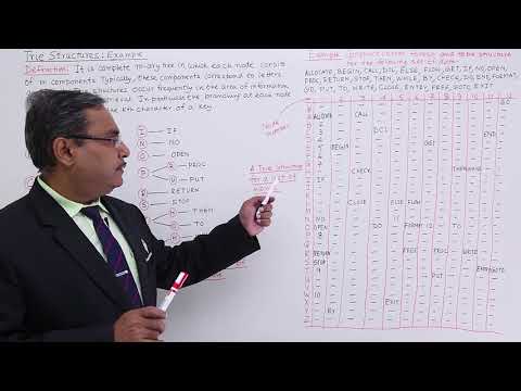 Data Structure Getting Started